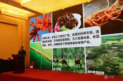 龙江森林美味&ldquo;九珍十八品&rdquo;香飘京城
